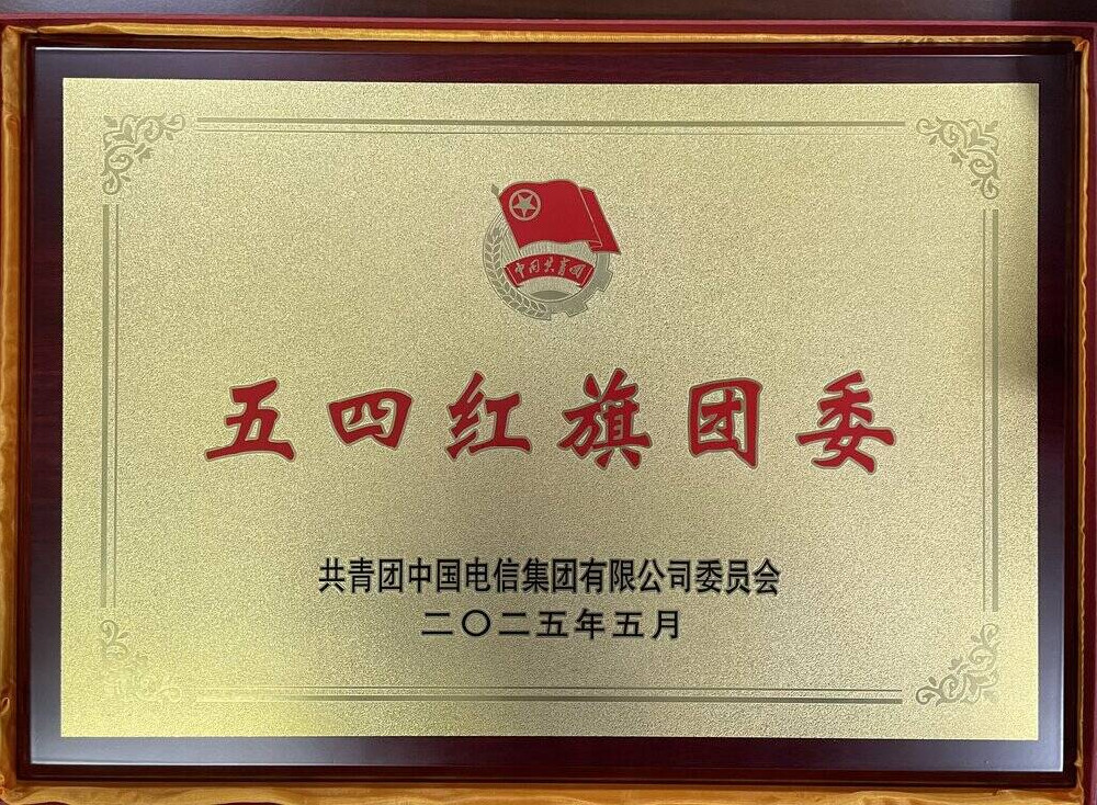 1761897003146656.jpg 图1:公诚咨询团委获表彰奖牌.jpg